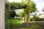 Familienfreundliches Bauernhaus mit vielen Möglichkeiten - Blick min den Garten