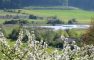 Großes Grundstück mit Weitblick in sonniger Ortsrandlage von Billafingen - Aussicht